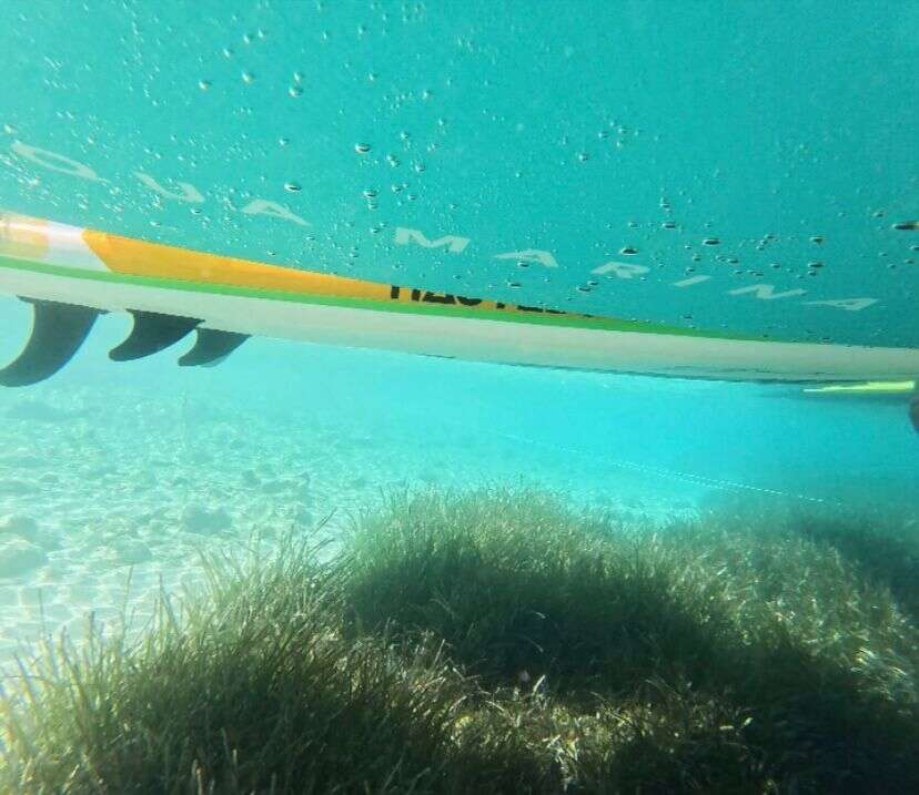 Muğla’nın Mavi Karbon Haritası Çıkıyor 3
